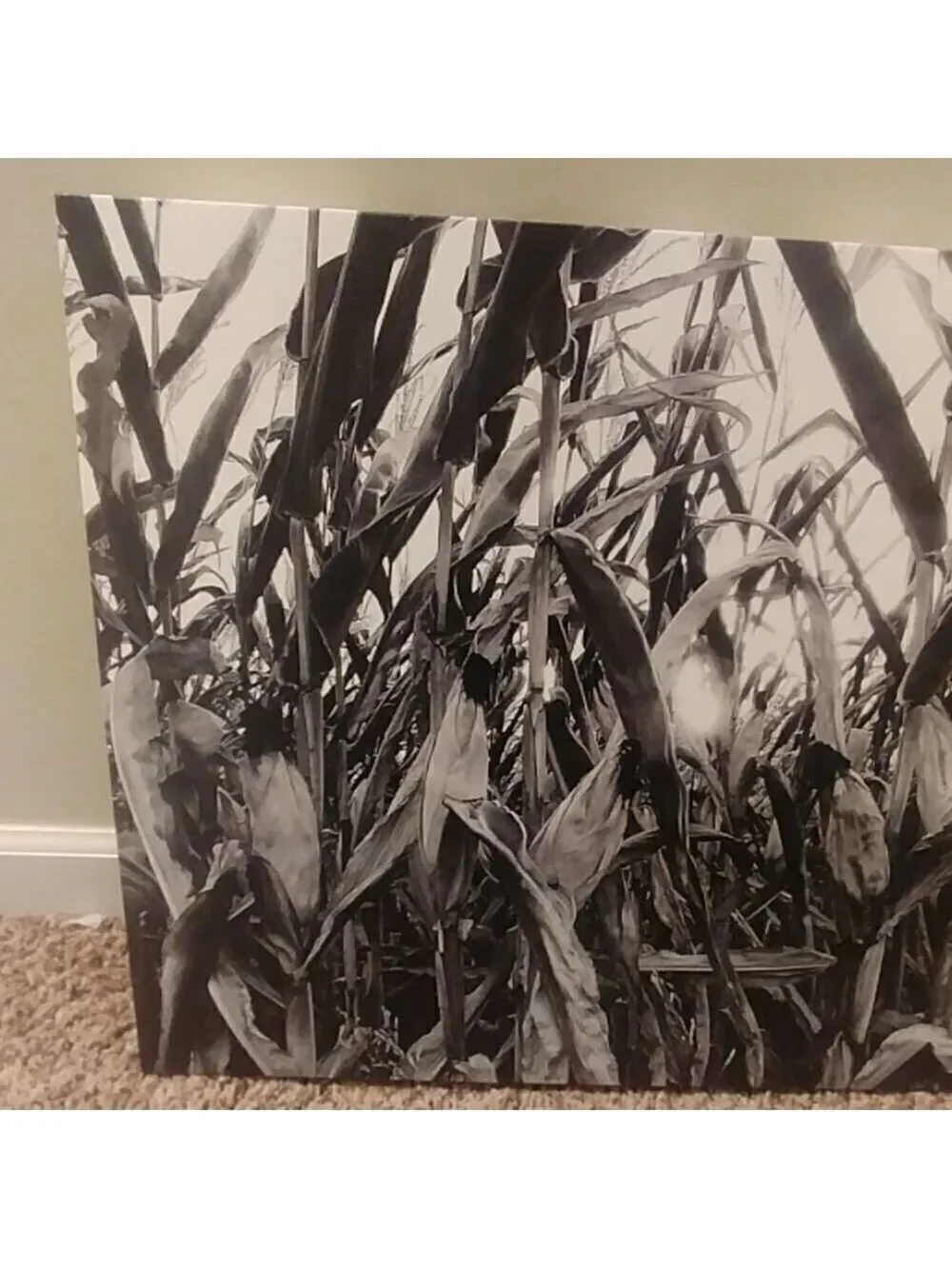 Kansas cornfield sunset canvas wall hanging